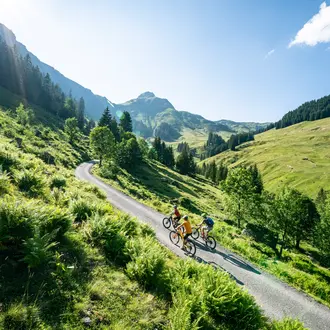 mountain bike trail in Saalbach | © saalbach.com, Stefan Voitl