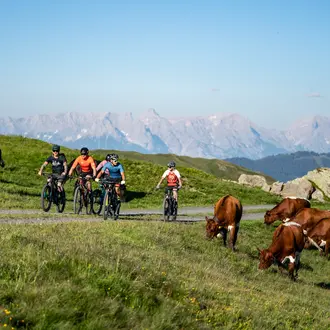 mountain bike trail in Saalbach-Hinterglemm | © saalbach.com, Stefan Voitl
