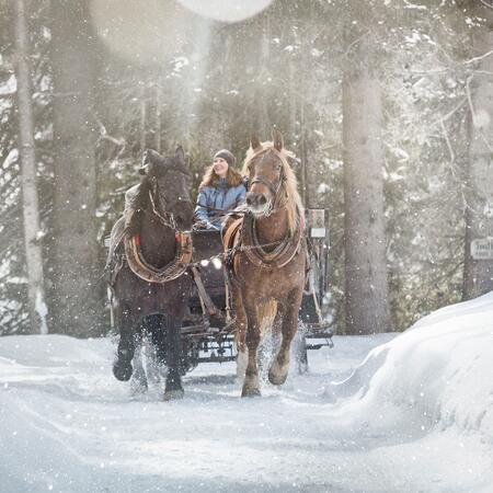 horse-drawn sleigh rides in Saalbach Hinterglemm | © © saalbach.com, Mirja Geh