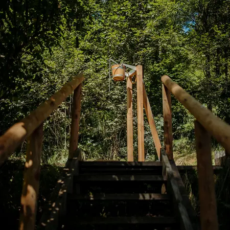 Holztreppe führt in den Wald, Eimer hängt an Holzkonstruktion