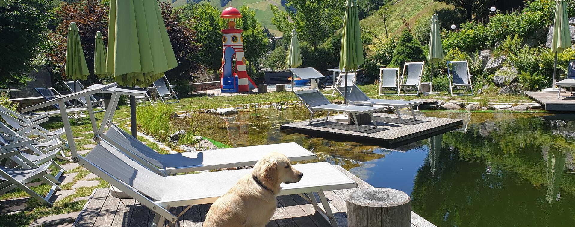 holiday with dog Salzburger Land